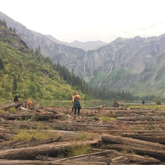 Meet your Posher, Dani - Picture 1 of 1